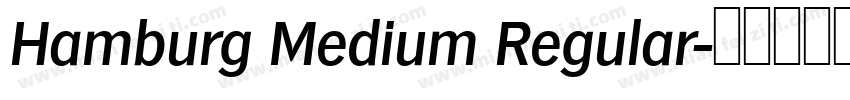 Hamburg Medium Regular字体转换